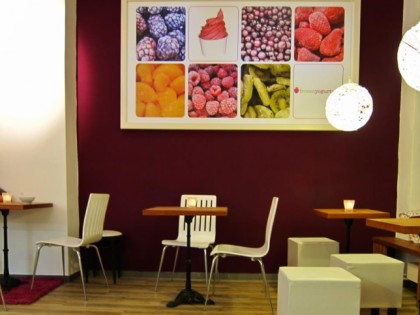 Photo: FrozenYogurtWelt